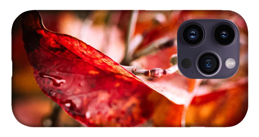 Red leaves  - Phone Case