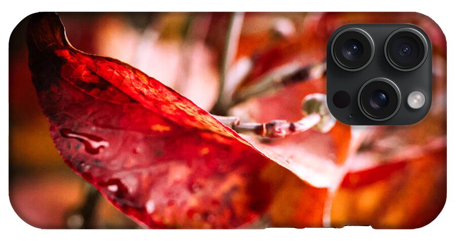 Red leaves  - Phone Case