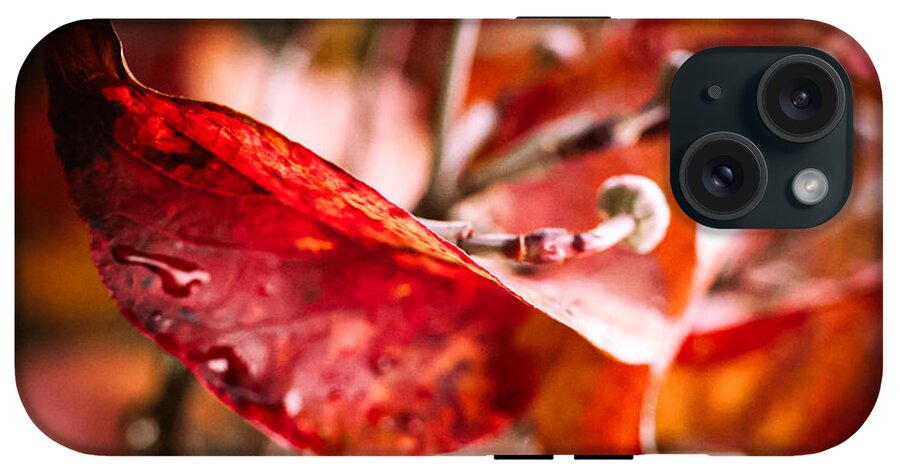 Red leaves  - Phone Case