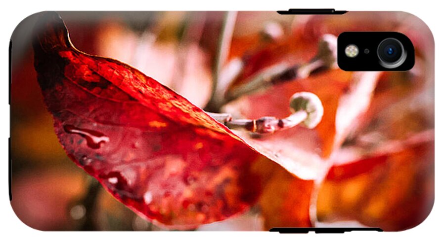 Red leaves  - Phone Case