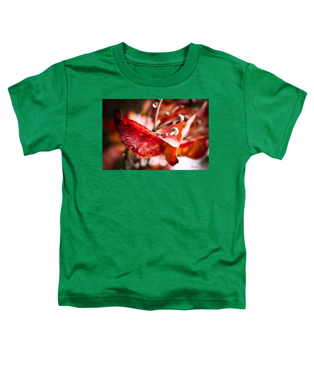 Red leaves  - Toddler T-Shirt
