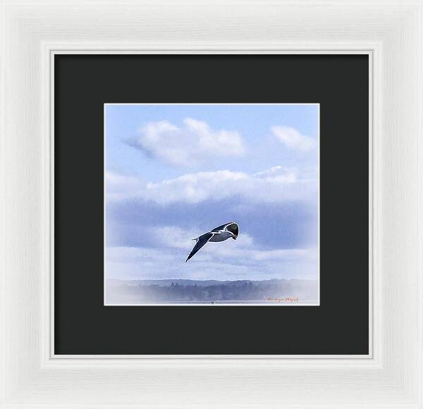 Seagal  - Framed Print
