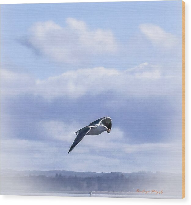 Seagal  - Wood Print