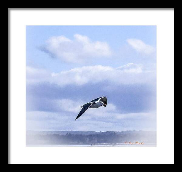 Seagal  - Framed Print