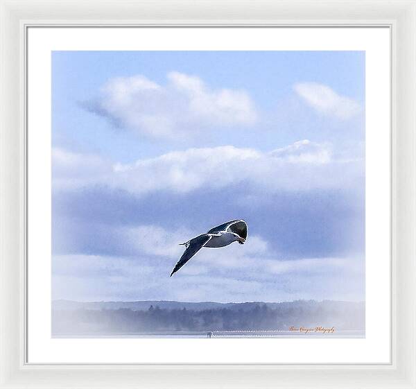 Seagal  - Framed Print