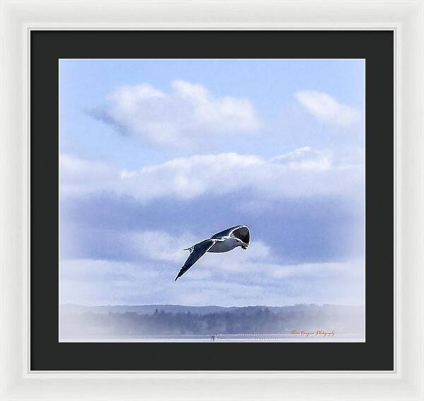 Seagal  - Framed Print