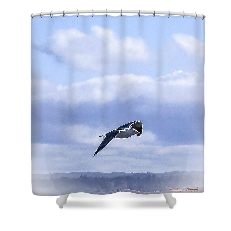 Seagal  - Shower Curtain