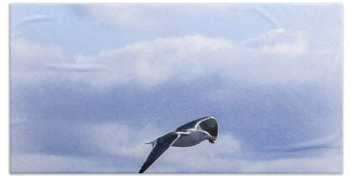 Seagal  - Beach Towel