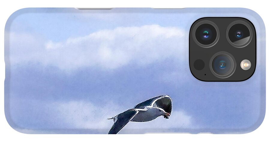 Seagal  - Phone Case