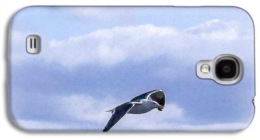Seagal  - Phone Case