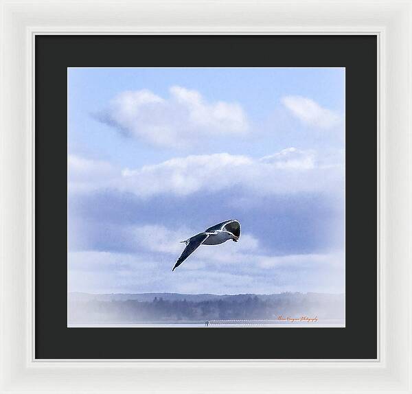 Seagal  - Framed Print