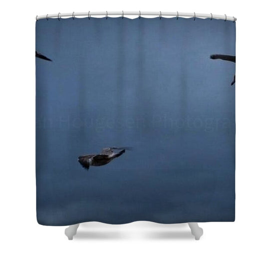 Seagulls in flight 2 - Shower Curtain