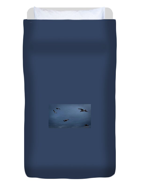 Seagulls in flight 2 - Duvet Cover