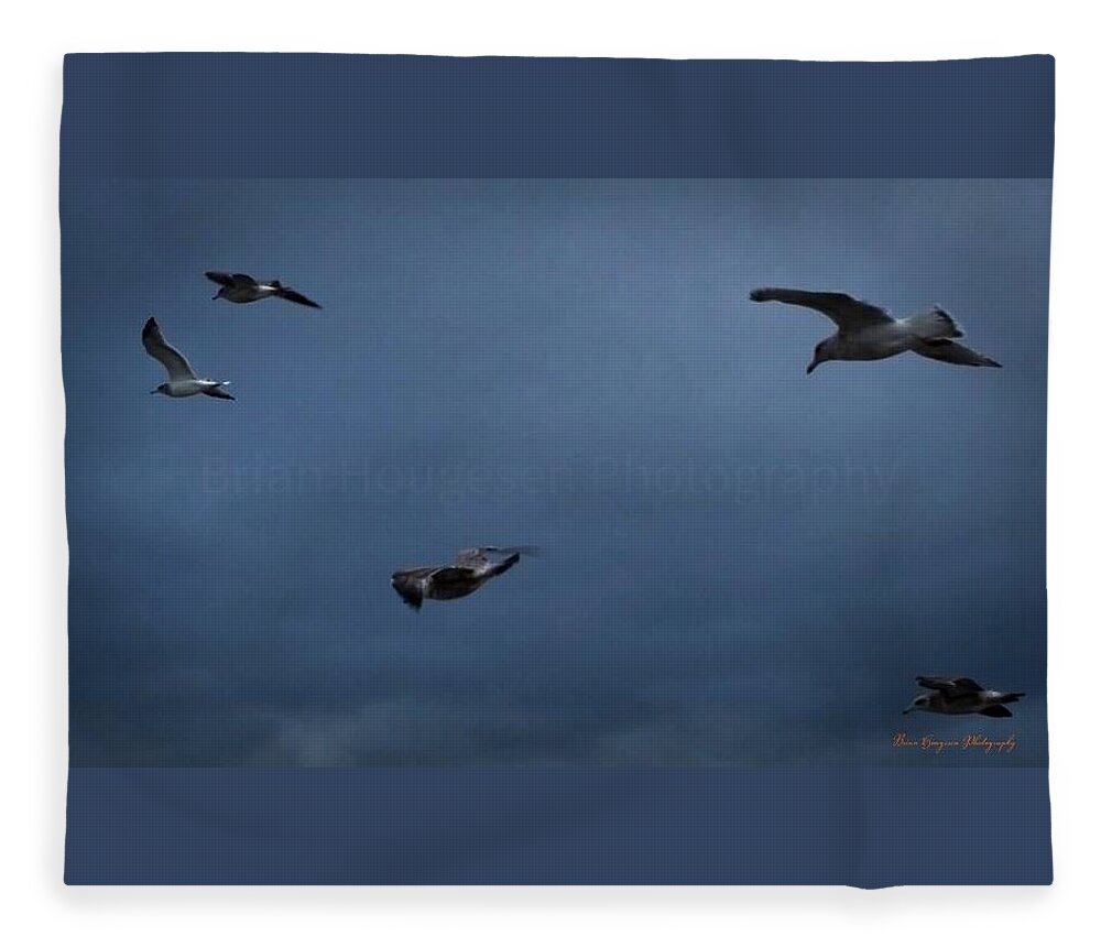 Seagulls in flight 2 - Blanket