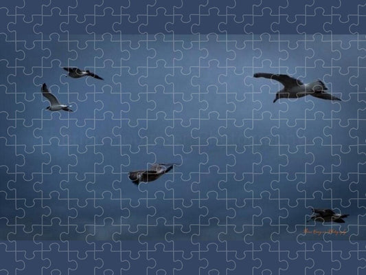Seagulls in flight 2 - Puzzle