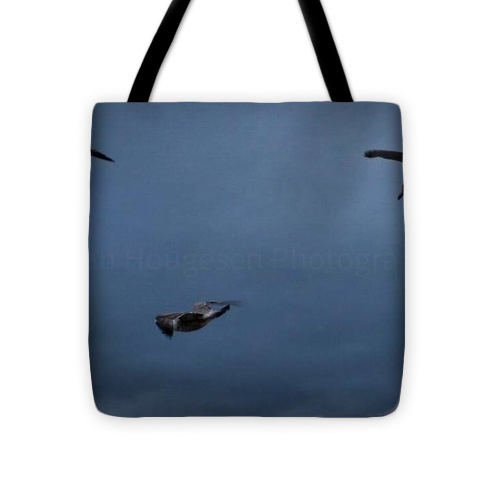 Seagulls in flight 2 - Tote Bag
