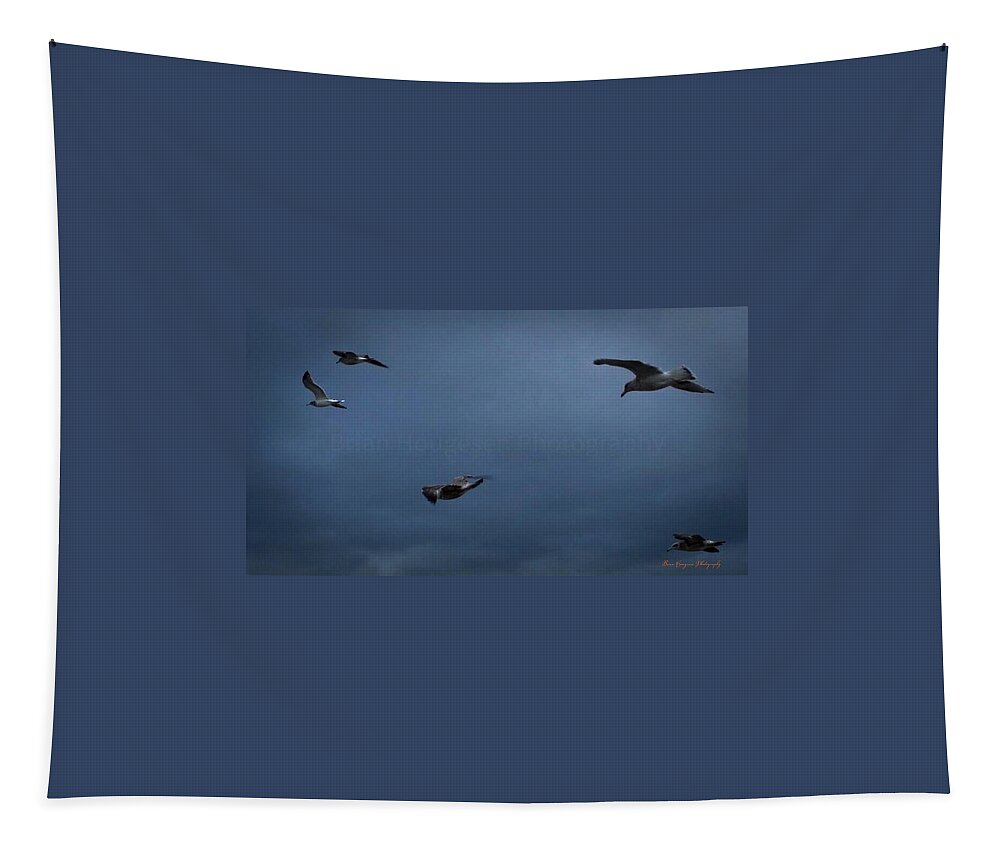Seagulls in flight 2 - Tapestry