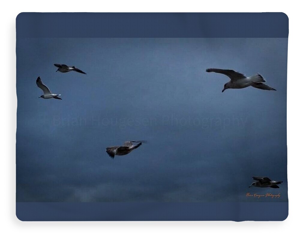 Seagulls in flight 2 - Blanket