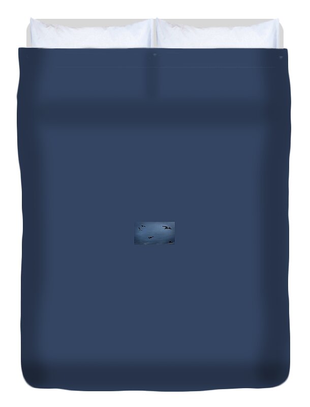 Seagulls in flight 2 - Duvet Cover
