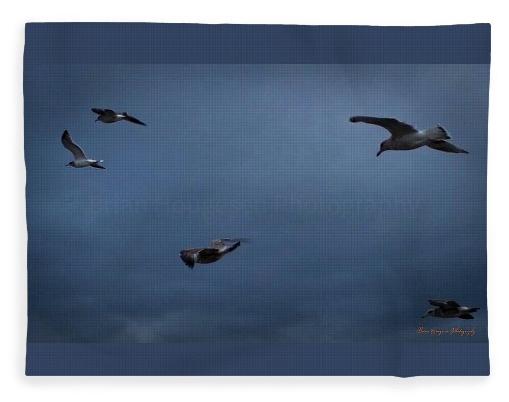 Seagulls in flight 2 - Blanket