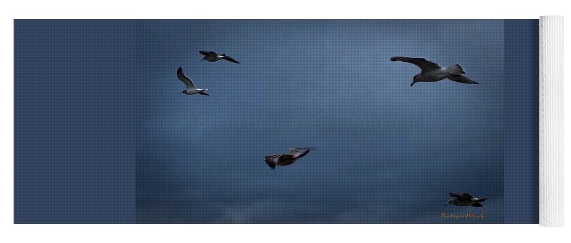 Seagulls in flight 2 - Yoga Mat
