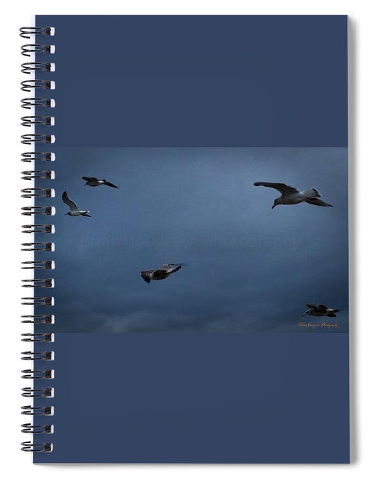 Seagulls in flight 2 - Spiral Notebook