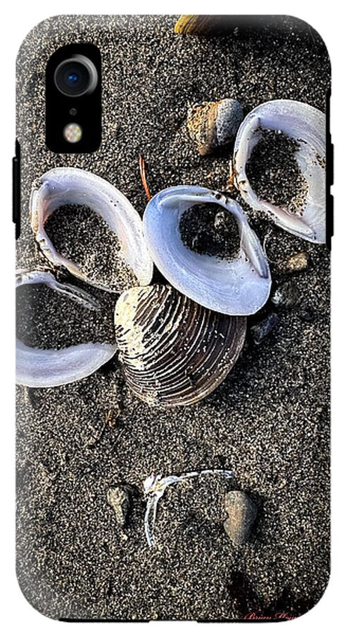 Seashells 6 - Phone Case