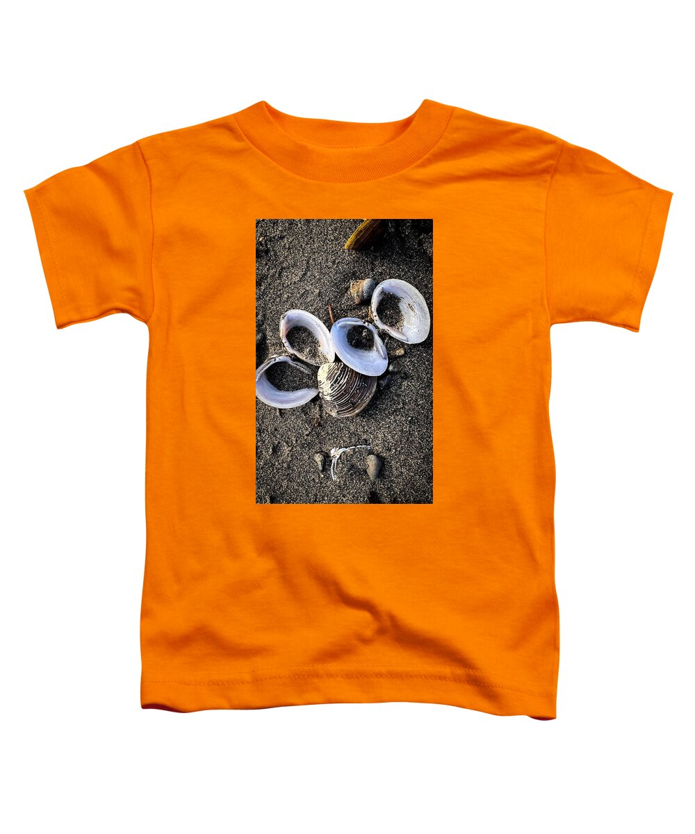 Seashells 6 - Toddler T-Shirt