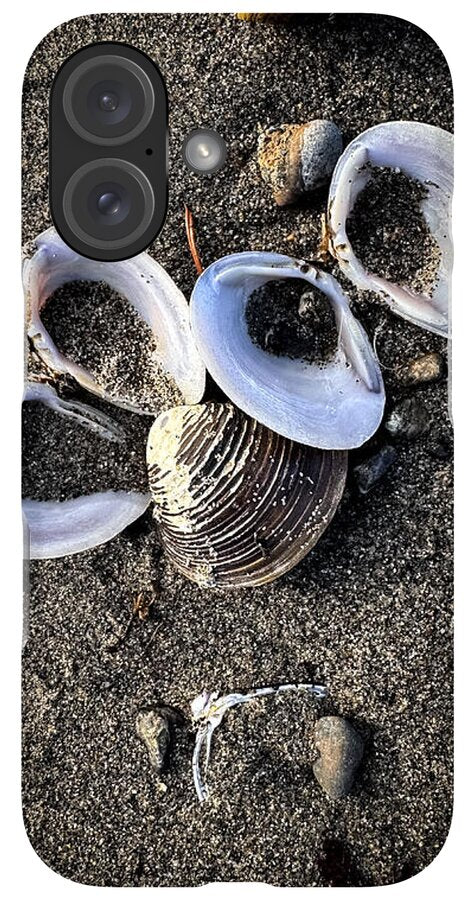 Seashells 6 - Phone Case