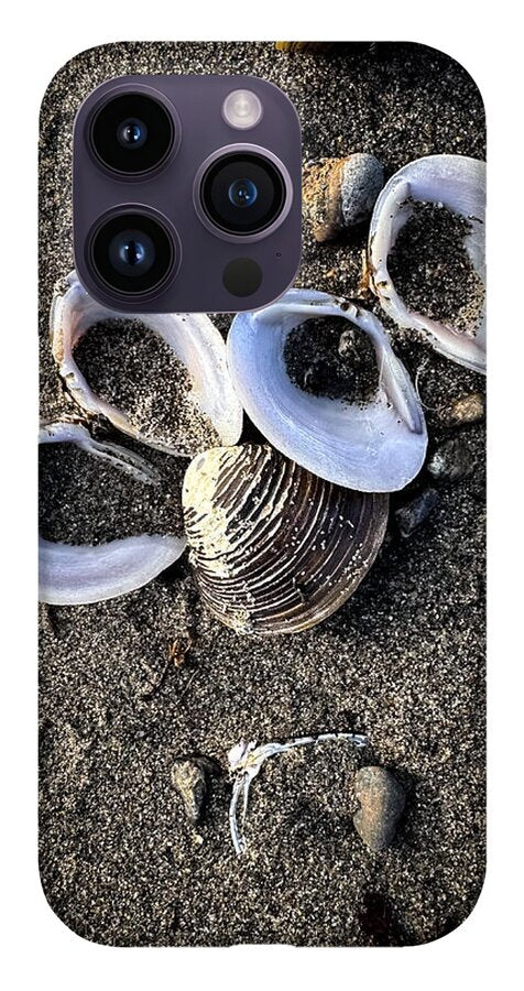 Seashells 6 - Phone Case