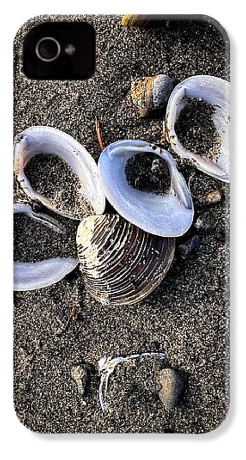 Seashells 6 - Phone Case