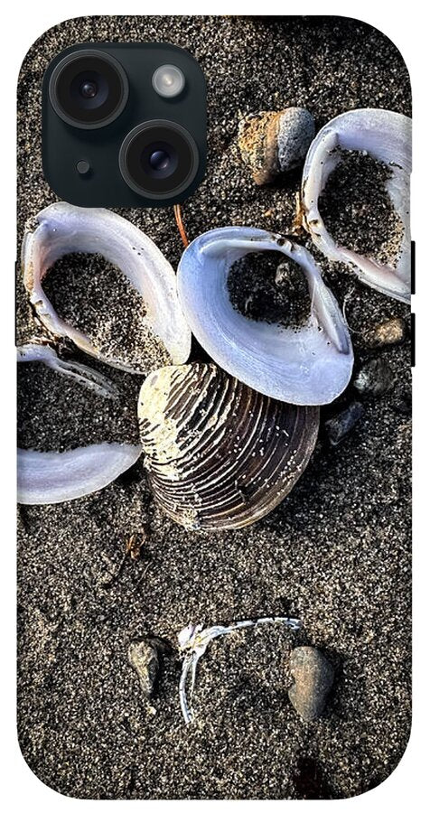 Seashells 6 - Phone Case