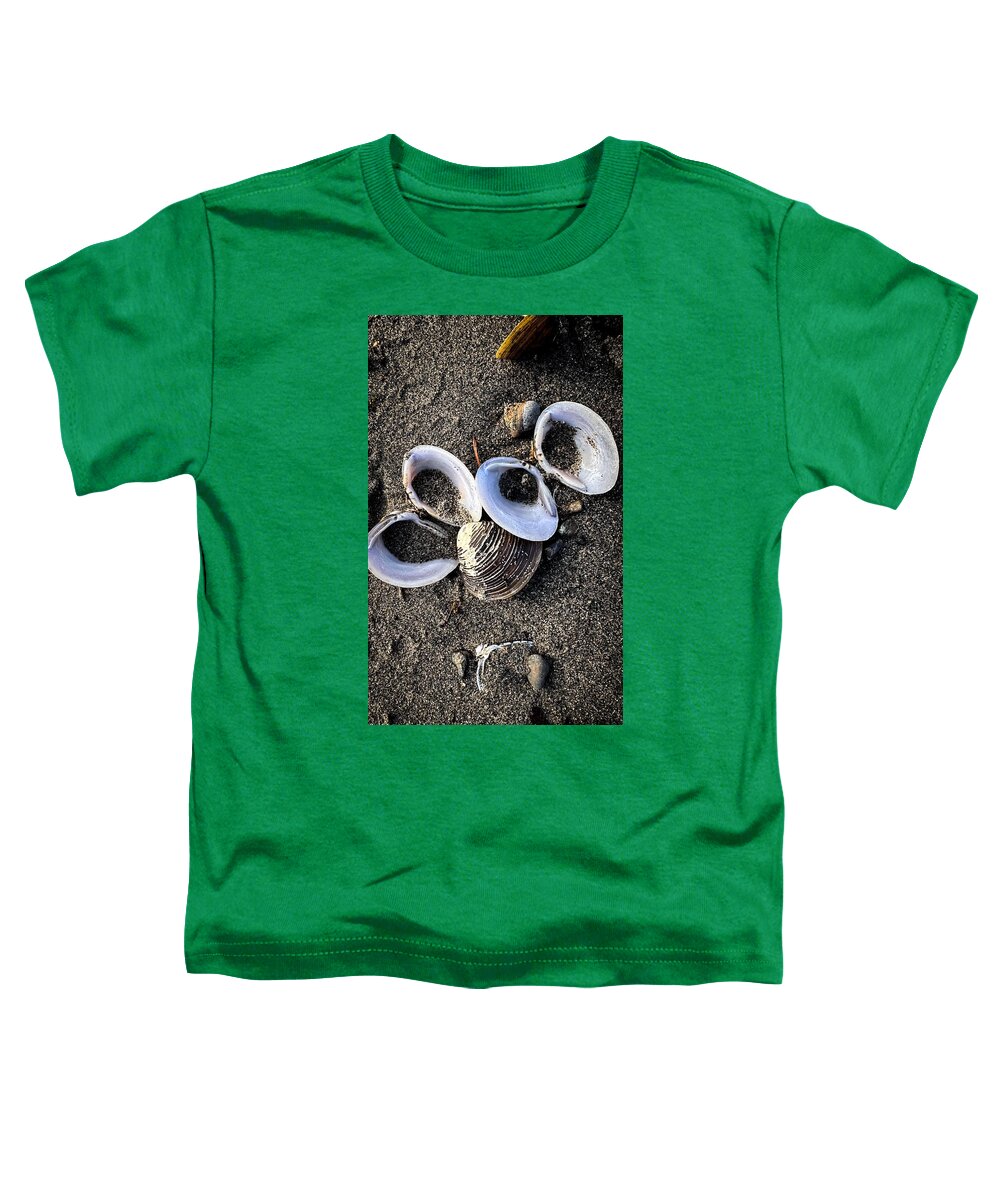 Seashells 6 - Toddler T-Shirt