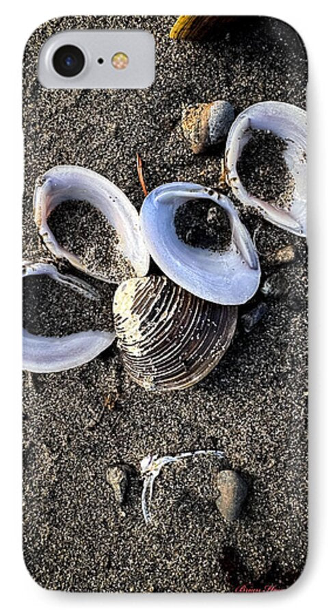 Seashells 6 - Phone Case