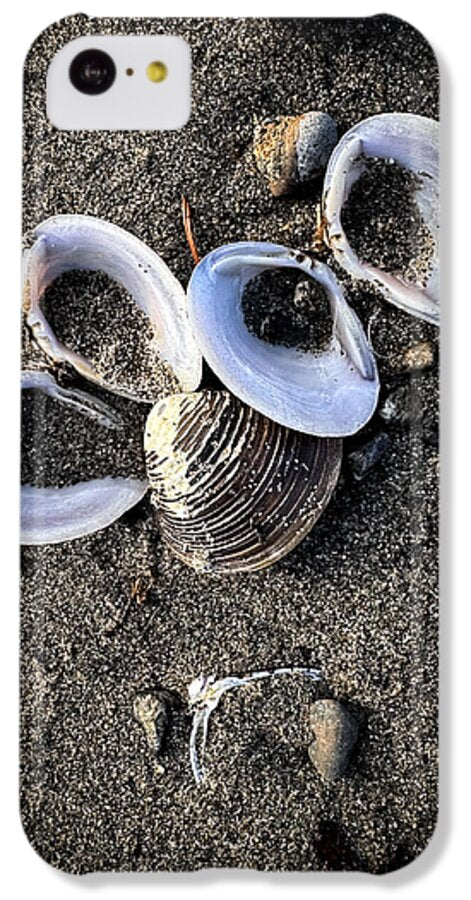 Seashells 6 - Phone Case
