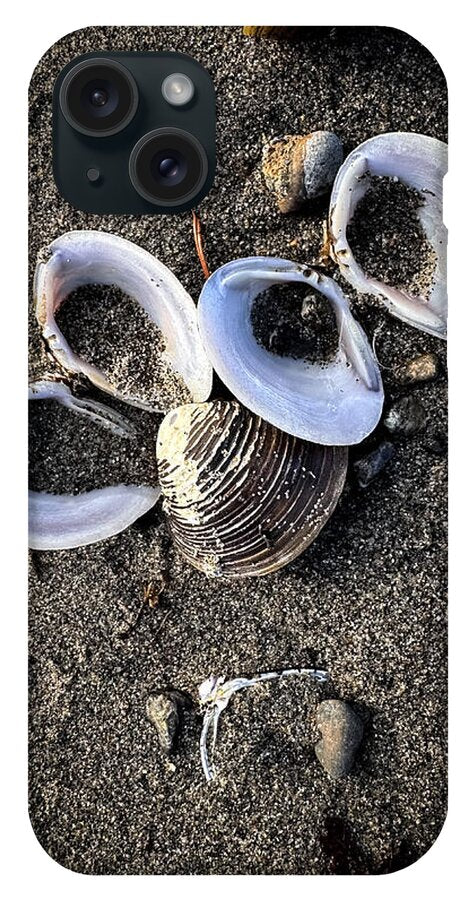 Seashells 6 - Phone Case