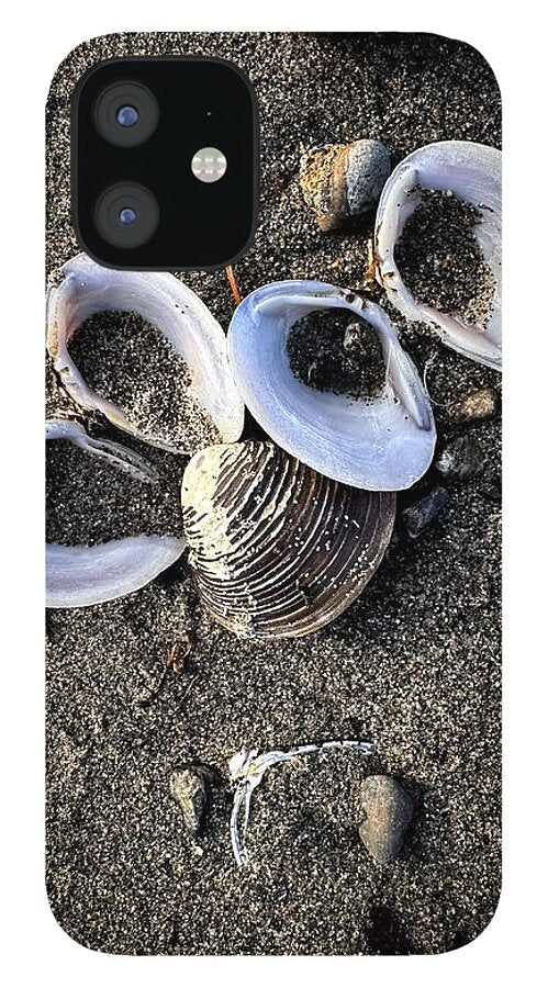 Seashells 6 - Phone Case