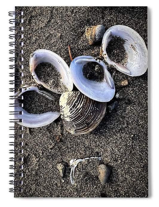 Seashells 6 - Spiral Notebook