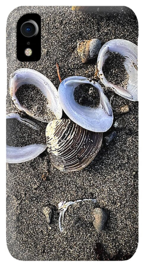 Seashells 6 - Phone Case
