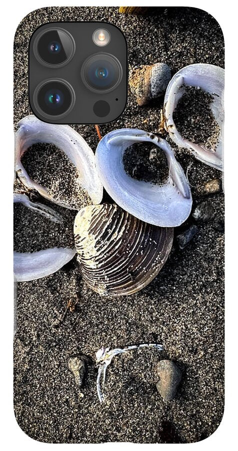 Seashells 6 - Phone Case