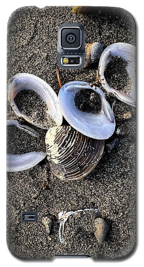 Seashells 6 - Phone Case