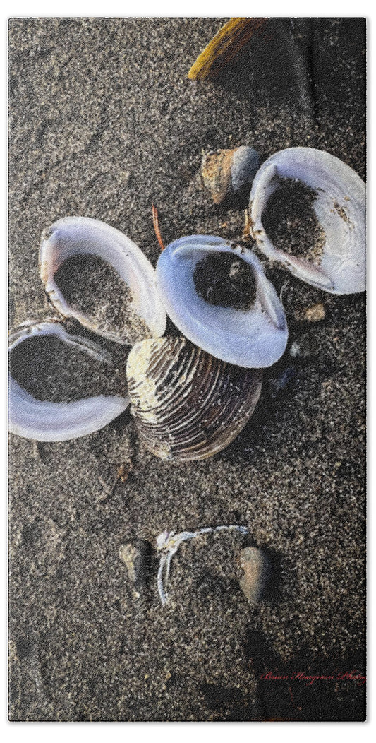 Seashells 6 - Beach Towel