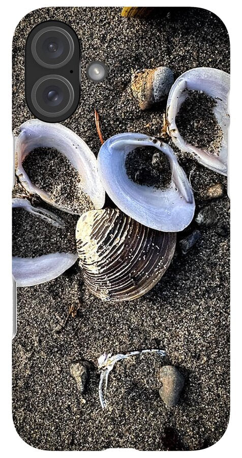 Seashells 6 - Phone Case