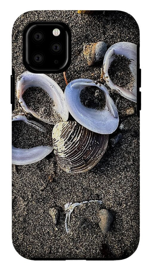 Seashells 6 - Phone Case