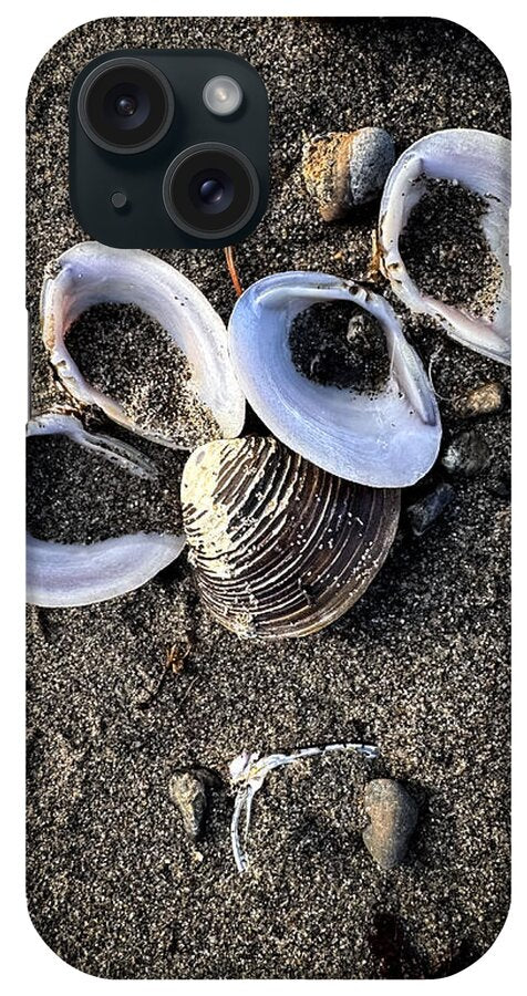 Seashells 6 - Phone Case