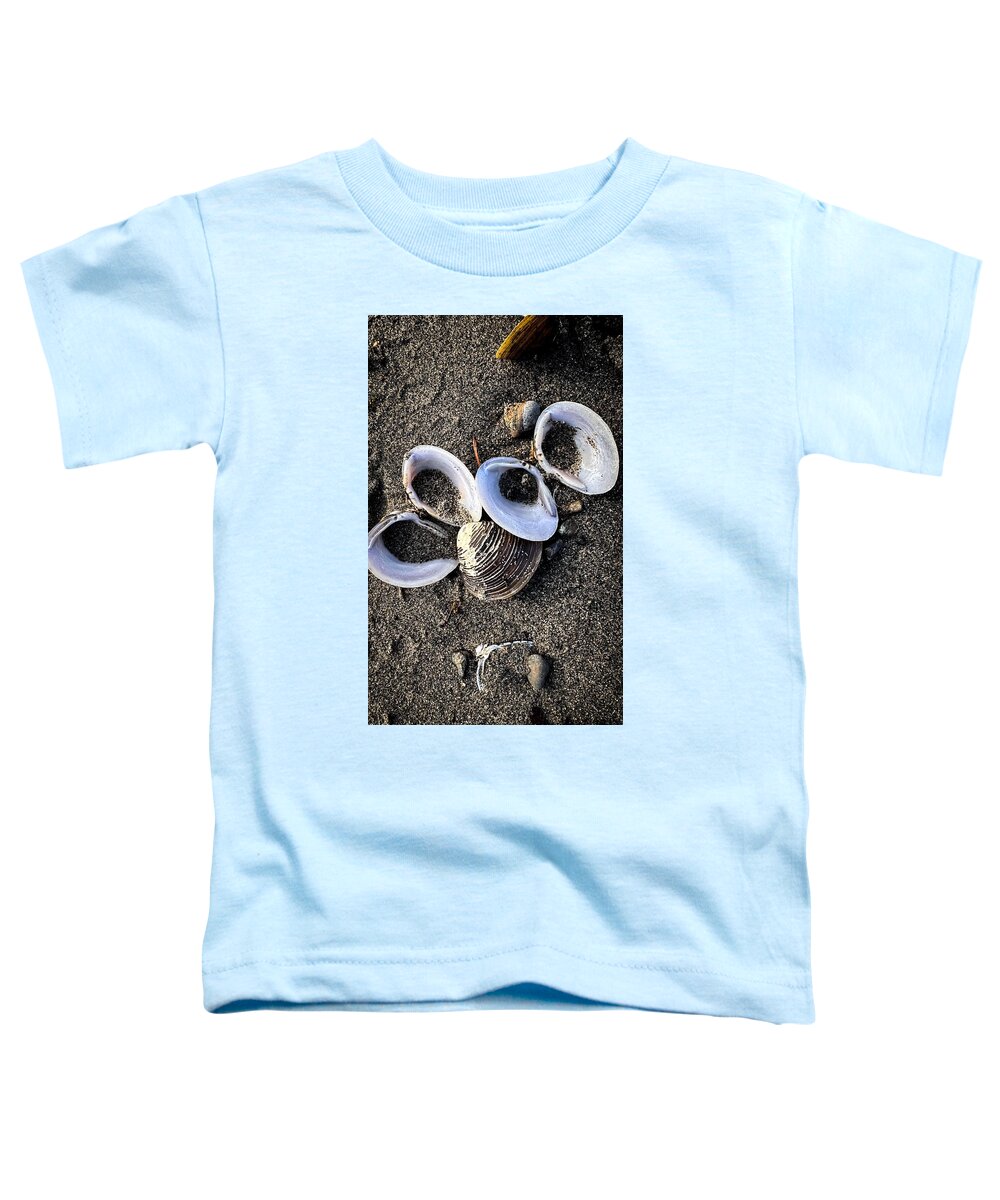Seashells 6 - Toddler T-Shirt