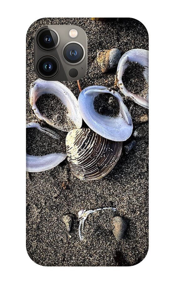 Seashells 6 - Phone Case