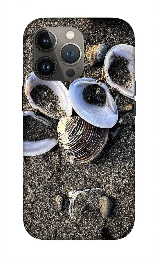 Seashells 6 - Phone Case
