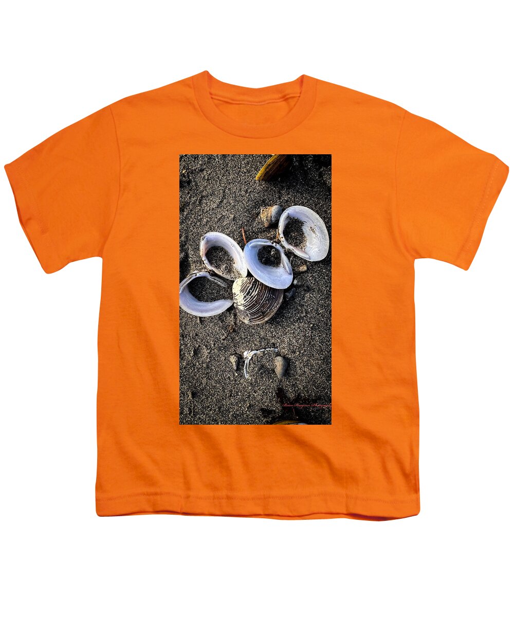 Seashells 6 - Youth T-Shirt