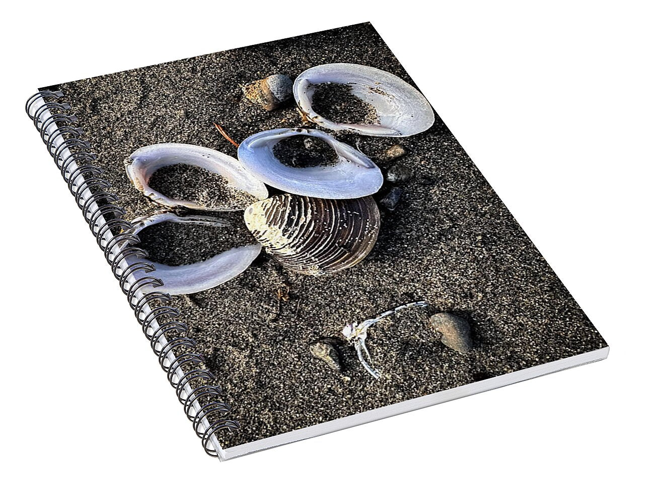 Seashells 6 - Spiral Notebook